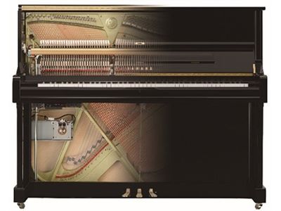 Гибридная фортепианная система TransAcoustic TA2