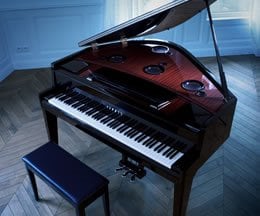 Игра на этом фортепиано освобождает пианиста от всех ограничений. И тогда наступает радость от превращения акта игры в нечто новое.