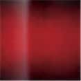 Red Black Sunburst