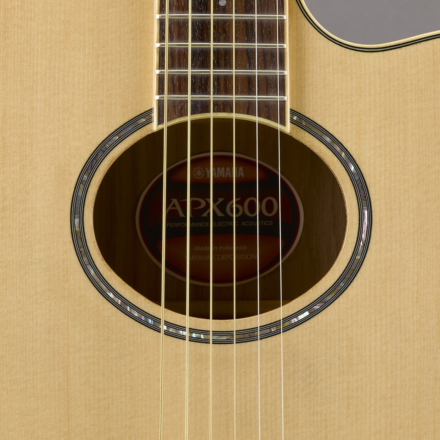 gitar akustik apx