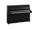 Product image of B10 (Polished Ebony Chrome)