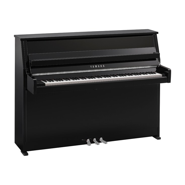 Product image of B10 (Polished Ebony Chrome)