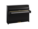 Product image of B10 (Polished Ebony)