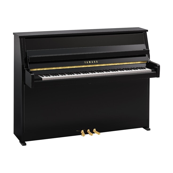 Product image of B10 (Polished Ebony)