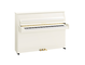 Product image of B10 (Polished White)