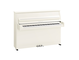 Product image of B10 (Polished White Chrome)