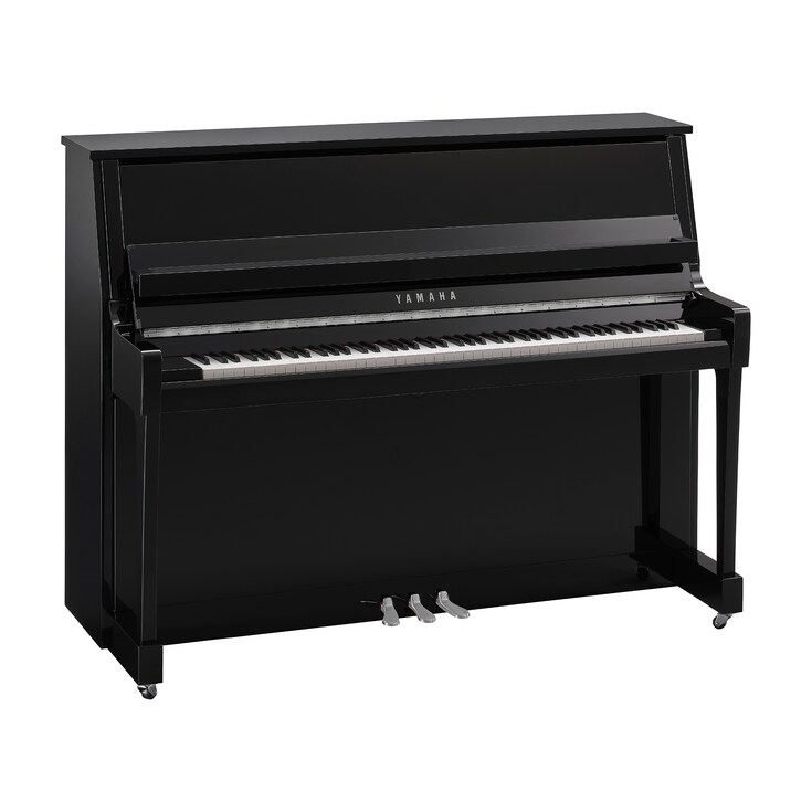 Product image of B20 (Polished Ebony Chrome)