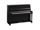 Product image of B20 (Polished Ebony)