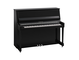 Product image of B30 (Polished Ebony Chrome)