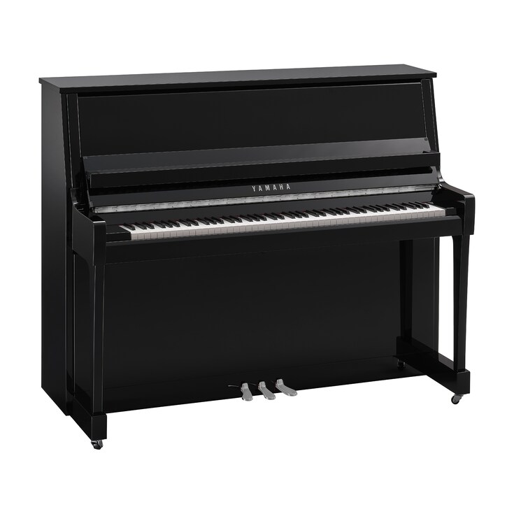 Product image of B30 (Polished Ebony Chrome)
