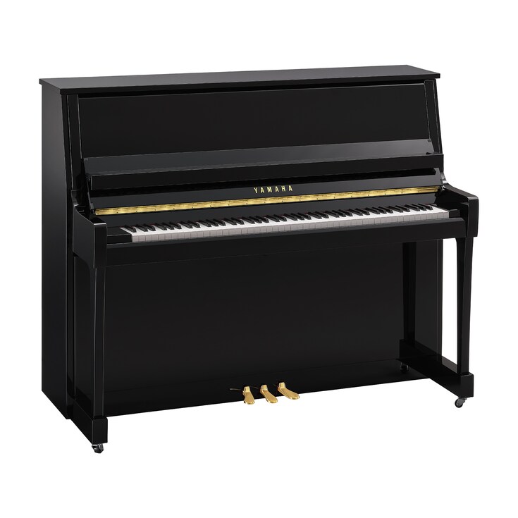 Product image of B30 (Polished Ebony)