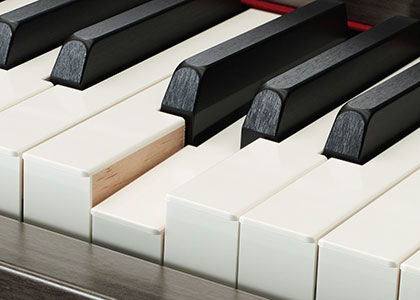CLP-645 - Описание - Clavinova - Продукты - Акустические