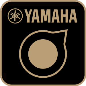 THR-II | Корпорация Yamaha.