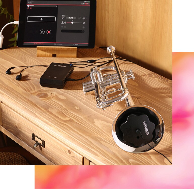 silent brass 箱付き Комплект системы Silent Brass™ - Продукты - Духовые инструменты