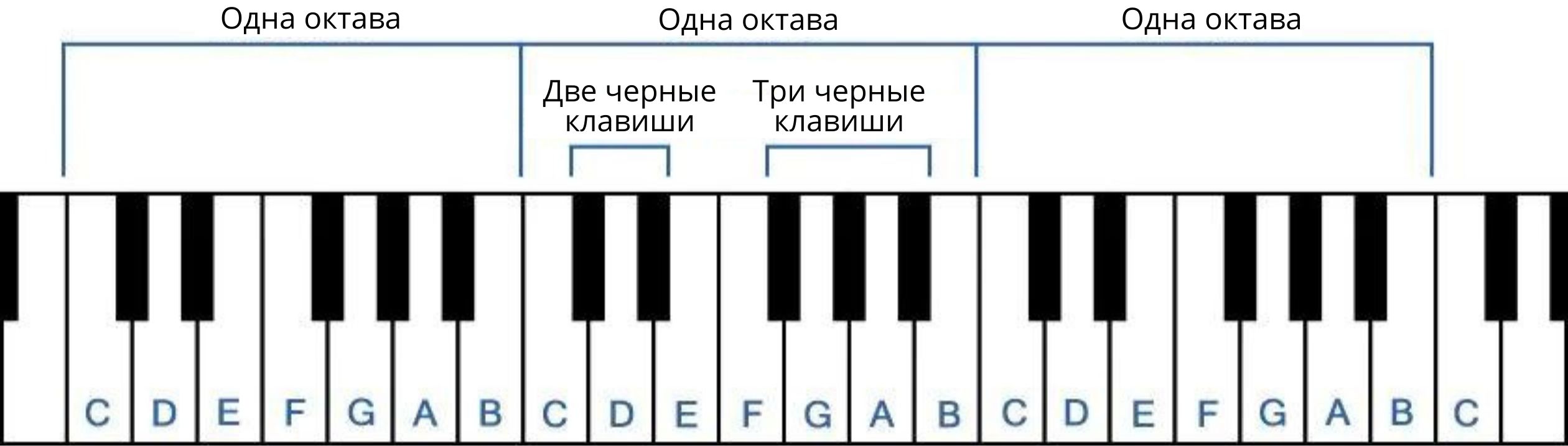 Какие ноты присутствуют