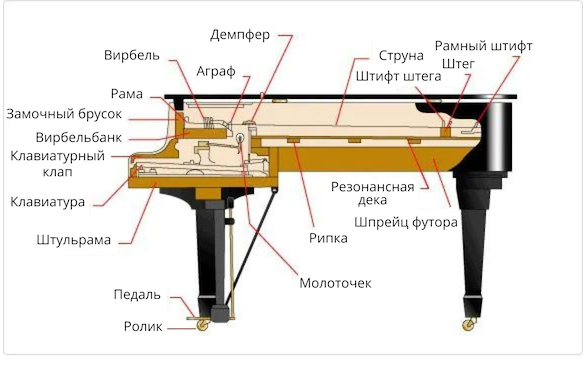 Схематическое изображение рояля
